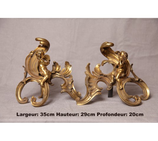 Pair of bronze-polished bronze chenets 19 th Nap III