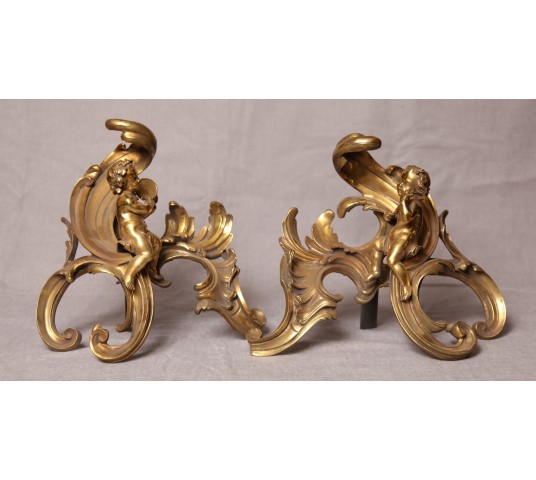 Pair of bronze-polished bronze chenets 19 th Nap III