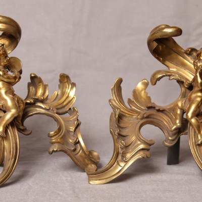 Pair of bronze-polished bronze chenets 19 th Nap III