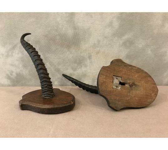 Pair of turf horns on wooden support around 1900