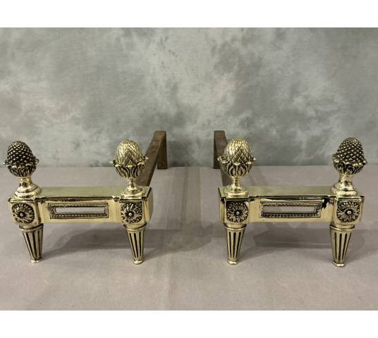 Antique polished bronze andirons from the 18th century Louis XVI period