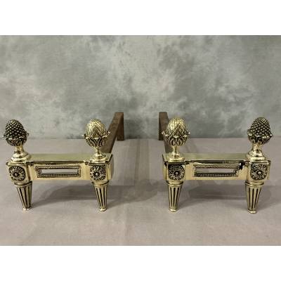 Antique polished bronze andirons from the 18th century Louis XVI period