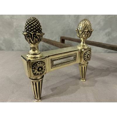 Antique polished bronze andirons from the 18th century Louis XVI period