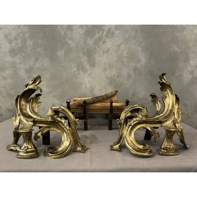 Paire de chenets anciens en bronze d'époque 19 ème de style Louis XV