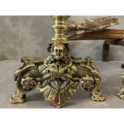 Beautiful antique brass andirons from the 19th century in the Louis XIV style