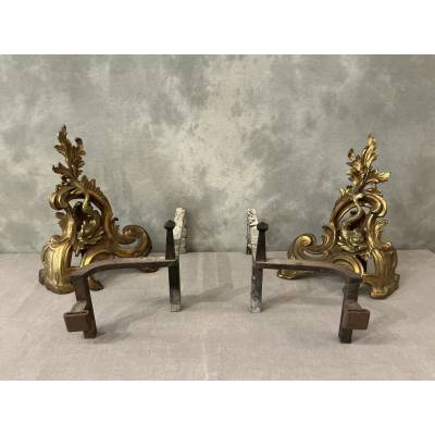 Paire de chenets anciens en bronze et laiton d'époque 19 ème