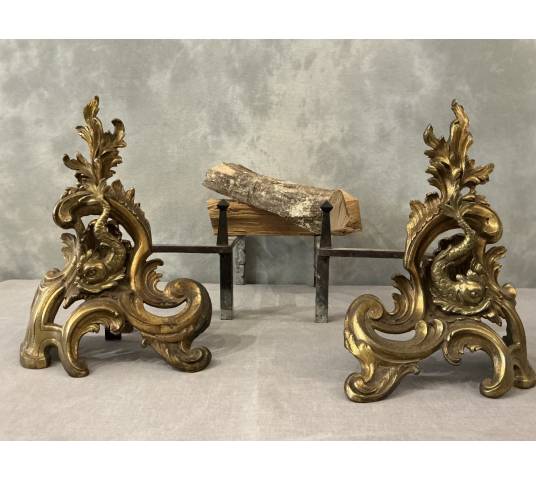 Pair of antique bronze and brass andirons from the 19th century