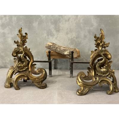 Paire de chenets anciens en bronze et laiton d'époque 19 ème