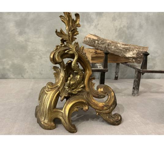 Pair of antique bronze and brass andirons from the 19th century