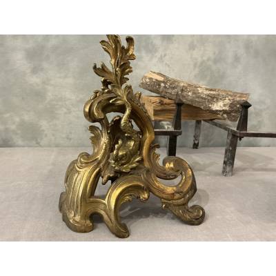 Paire de chenets anciens en bronze et laiton d'époque 19 ème