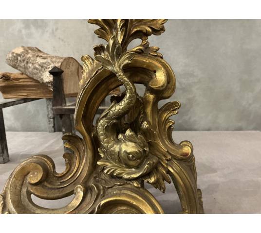 Pair of antique bronze and brass andirons from the 19th century