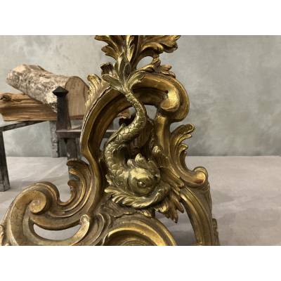 Paire de chenets anciens en bronze et laiton d'époque 19 ème