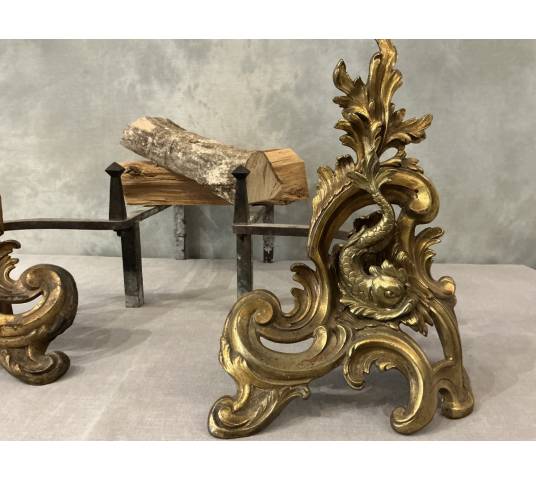 Pair of antique bronze and brass andirons from the 19th century