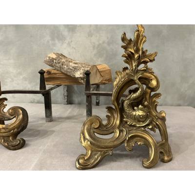 Paire de chenets anciens en bronze et laiton d'époque 19 ème