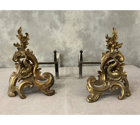Pair of antique bronze and brass andirons from the 19th century