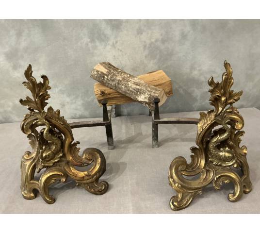 Pair of antique bronze and brass andirons from the 19th century
