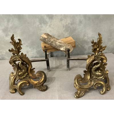 Paire de chenets anciens en bronze et laiton d'époque 19 ème