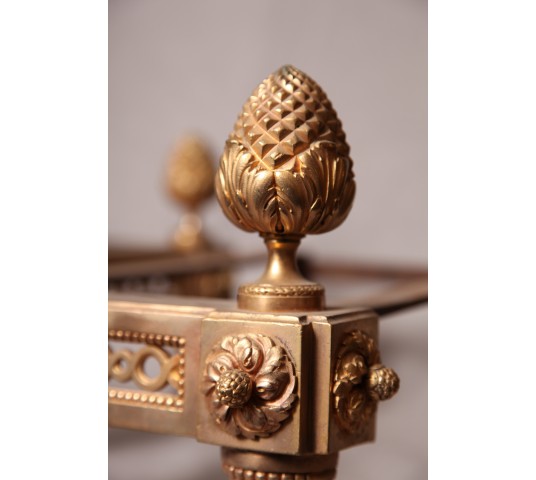 Gold-era gilded bronze Chenets Louis XVI 18 th