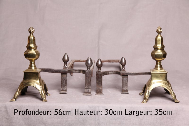 Pair of Louis XIV-era chenets in polished brass and iron