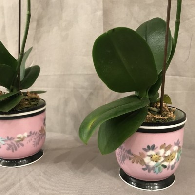 Pair de minicache-pots en porcelain d' epoch 19ème