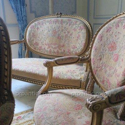 Salon en bois sculpté et doré de style Louis XVI Napoléon III"