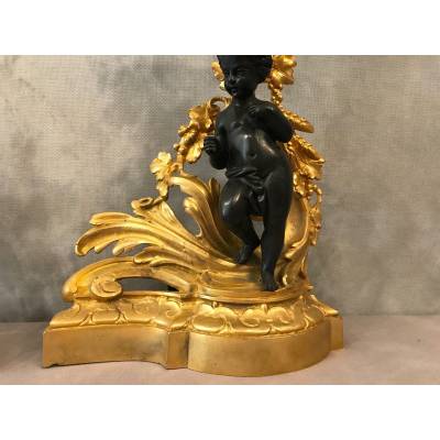 Belle paire de chenets en bronze doré et bronze patiné d'époque 19 ème Napoléon III