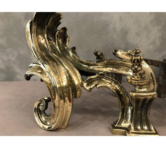 Beautiful, polished bronze caterpillar, at the end of 18 th rocker