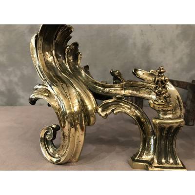 Beautiful, polished bronze caterpillar, at the end of 18 th rocker